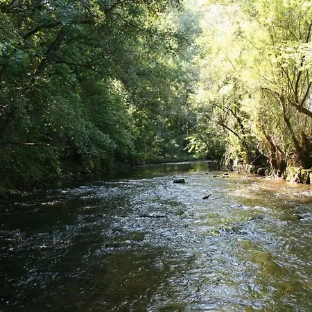 公寓 Direkt Am Neckar 罗特威尔